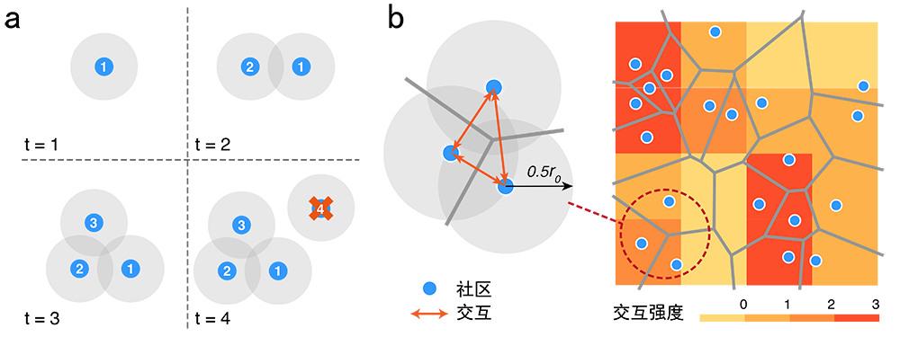 spatialattraction